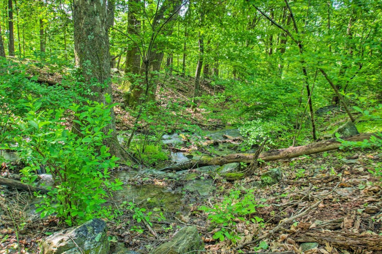 Renovated Studio On 5 Acres - Near Vineyards! Crozet Exterior photo